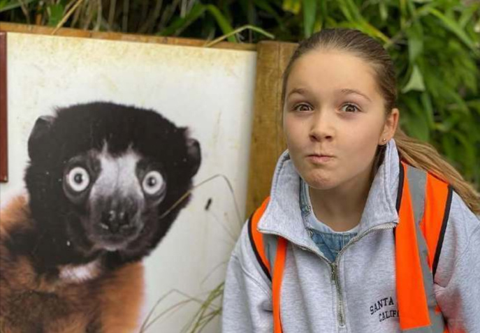 的注视和期 的注视和期