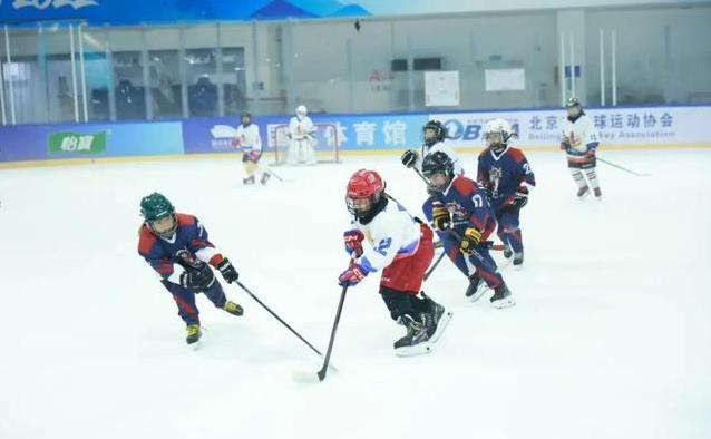 小学和初中 小学和初中